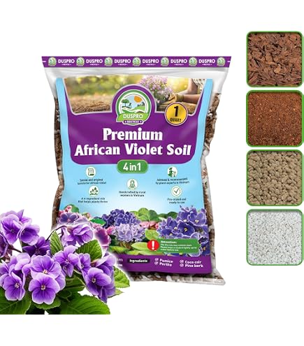 healthy pothos Buy Fresh Njoy Pothos Plant