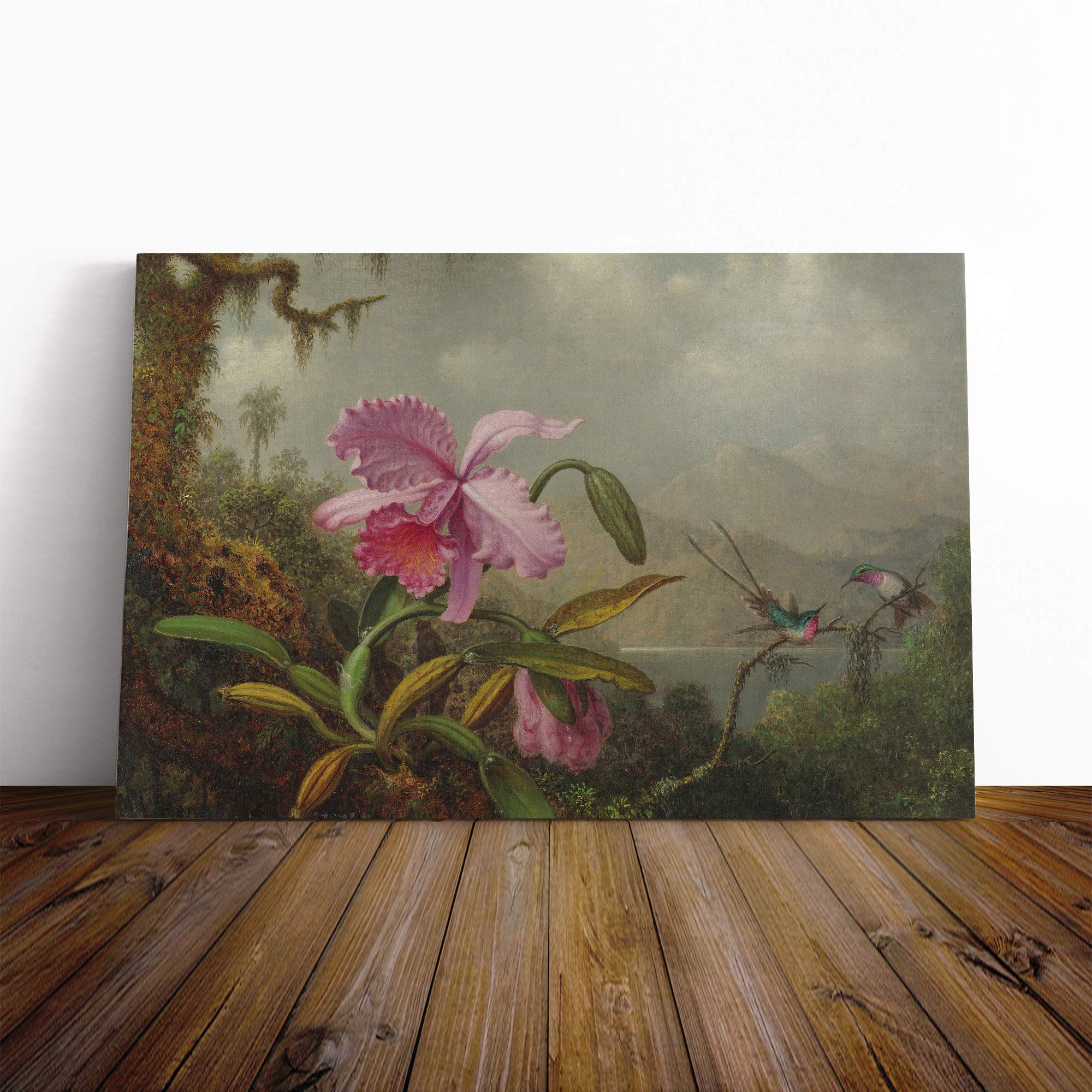 Martin Johnson Heade Pink Flower Canvas Print | Gallery Wrapped 30mm Frame Wall Art | 20x14 inches | Ready to Hang | Modern Floral Picture | Living Room Bedroom Lounge Office