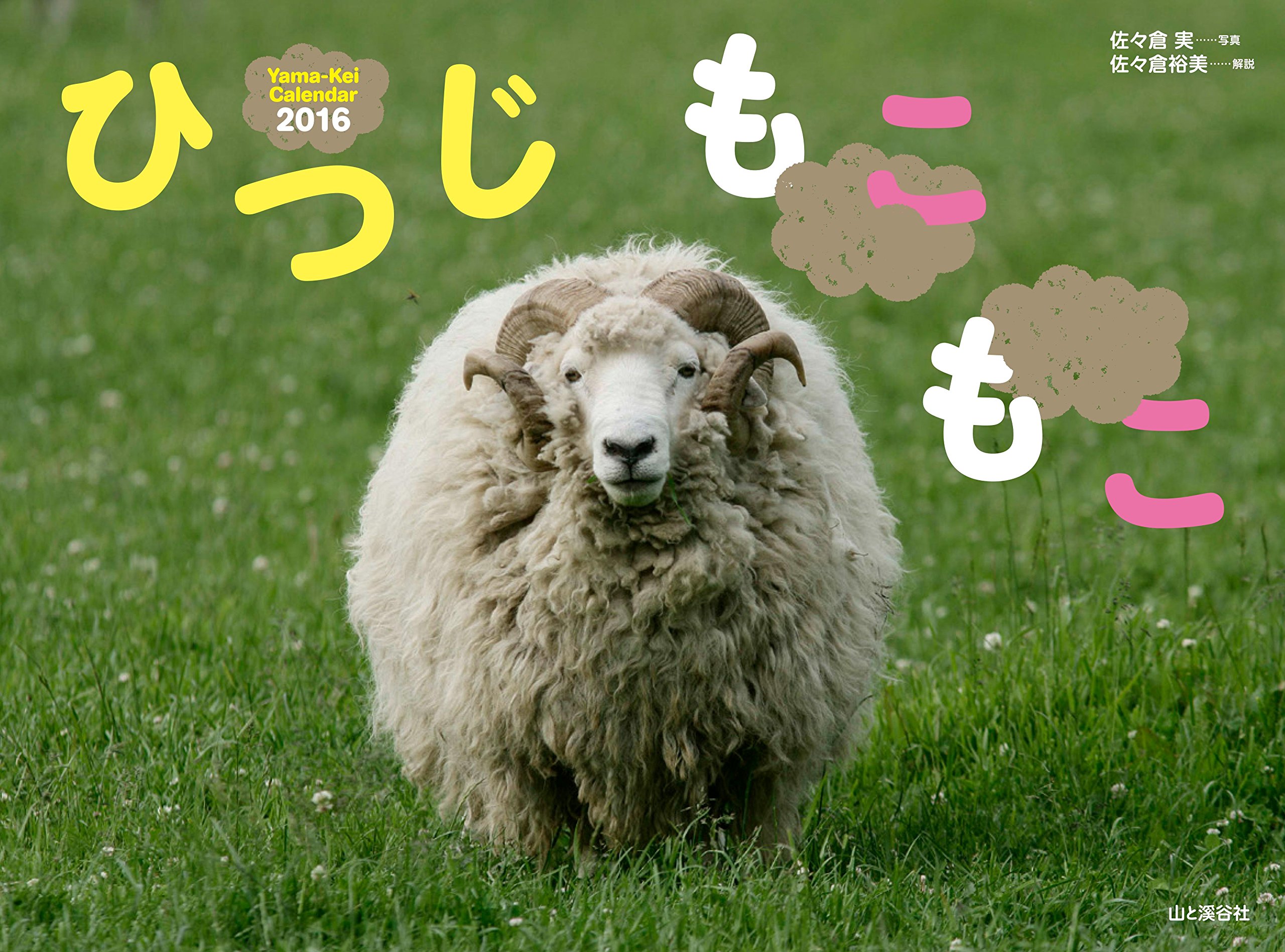 カレンダー16 ひつじもこもこ ヤマケイカレンダー16 佐々倉 裕美 佐々倉 実 本 通販 Amazon