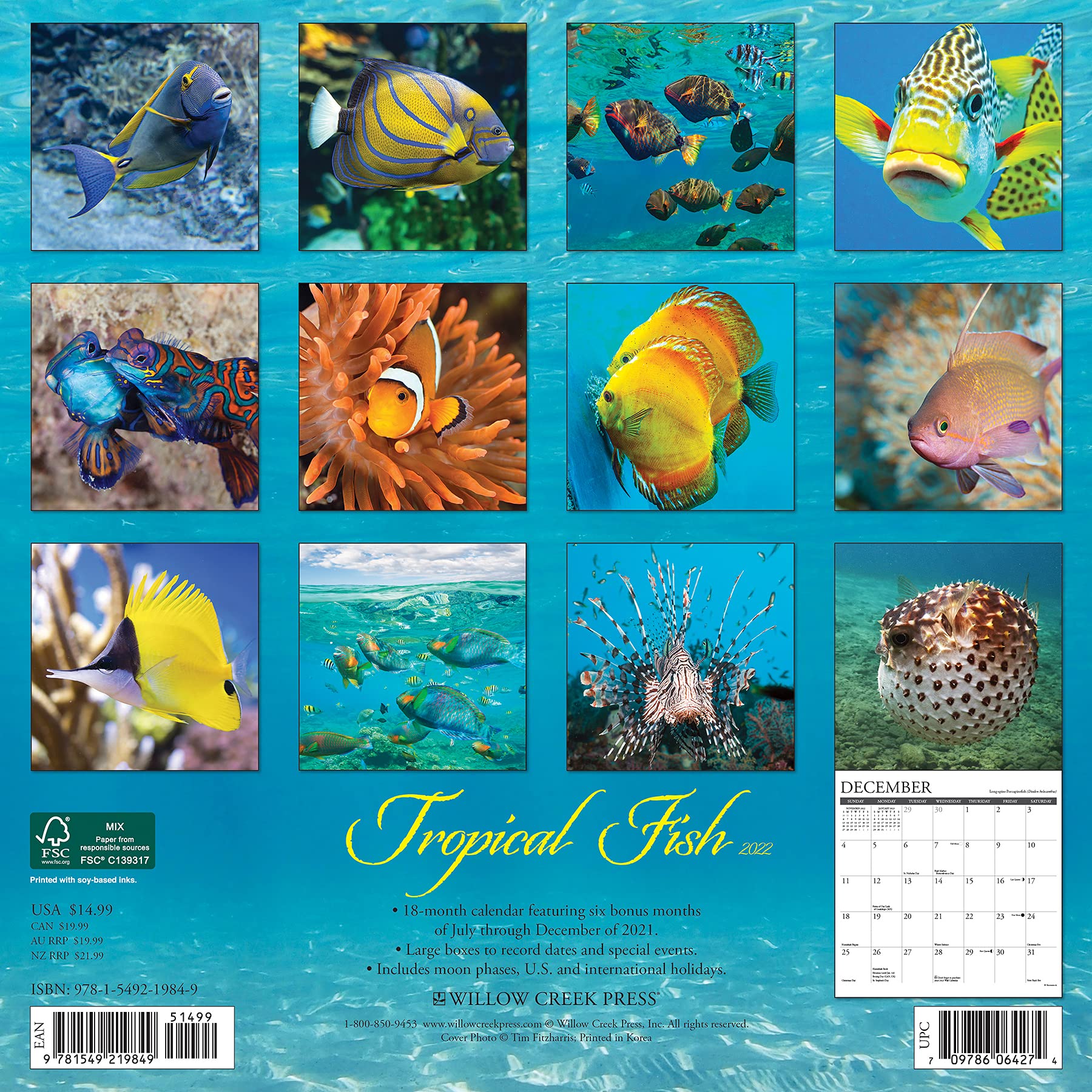 Fish Calendar 2022 Tropical Fish 2022 Wall Calendar: Amazon.co.uk: Willow Creek:  9781549219849: Books