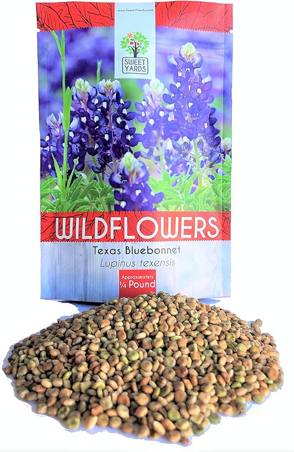 Texas Wildflower Seeds Bulk 1/4 Pound Bag