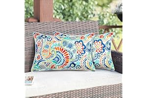 Magpie Fabrics Set of 2 Lumbar Throw Pillow with Insert 12x20 Inch, Outdoor Rectangular Waterproof Home Decorative Toss Cushion for Patio Garden Car Office - Paisley Multi
