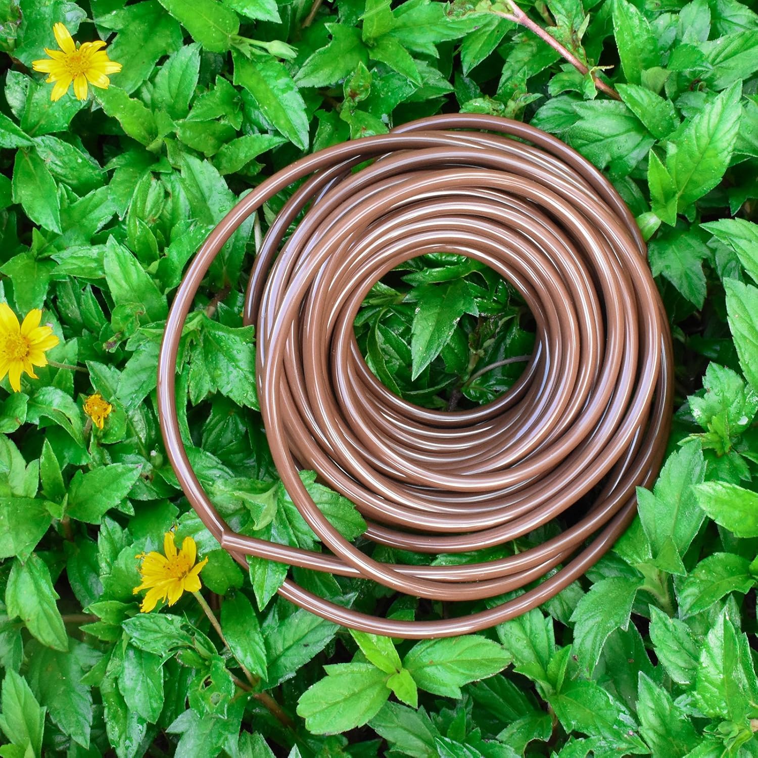 KORAM Drip Irrigation 1/4" Blank Distribution Tubing Drip Watering Hose 100ft Roll with Plant Garden Labels: Home Improvement