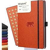 Dingbats* Notebooks - Wildlife Lined Medium Notebook, Orange Tiger, A5 - Hardcover - Cream 100gsm Ink-Proof Paper - Includes Pocket & Bookmark