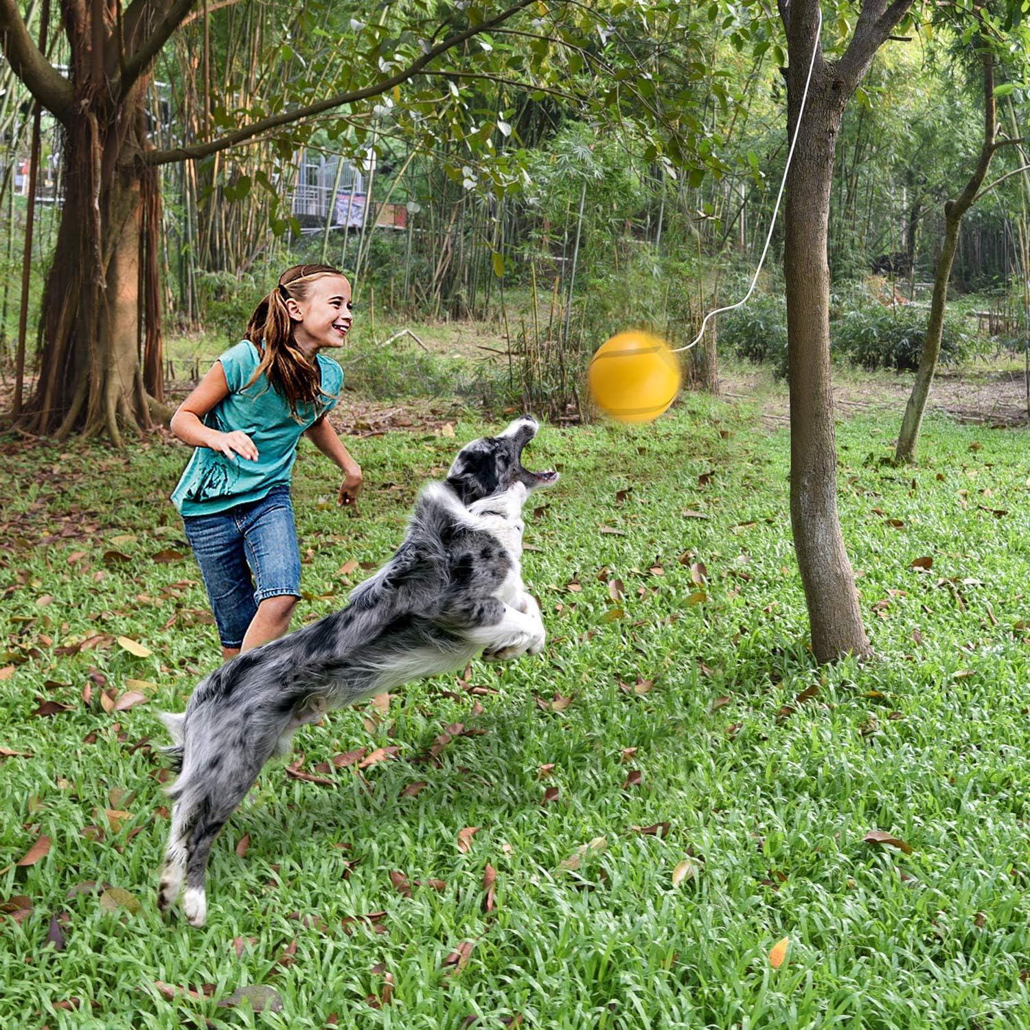 tetherball set for dogs