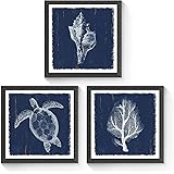 Framed Wall Art Sealife Artwrok: Marine Life Pictures Sea Animal Square Art Prints Gallery Wall Decor Set of 3 for Living Roo