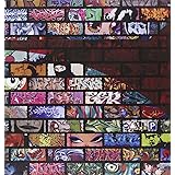 Graffiti World Updated Edition: Street Art from Five Continents