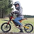 ARC-I Kids-Electric-Bike for Age 5-10, 25Miles Long-Range Electric-Motorcycle, 750W, 36V 13Ah Battery, 5-Speed Modes Electric-Dirt-Bike, 22MPH Fast E-Bike, 16" Off-Road Tires Ride on Toys for Big Kids