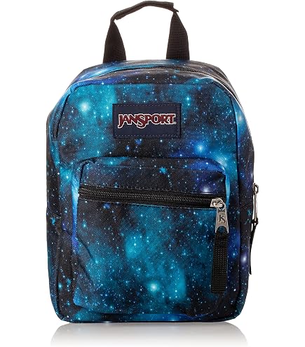 Amazon.com: JanSport Big Break Insulated Lunch Bag - Small  display picture 1