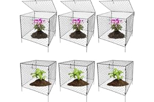 HYDREAM 6Pack Chicken Wire Cloche,Large Plant Protectors with Covers from Animals,Bunny Plant Protector Squirrels,Rabbits Proof,Bunny Deer Birds Garden Cloche Dome for Plants Collapsible Metal Cloches-Black