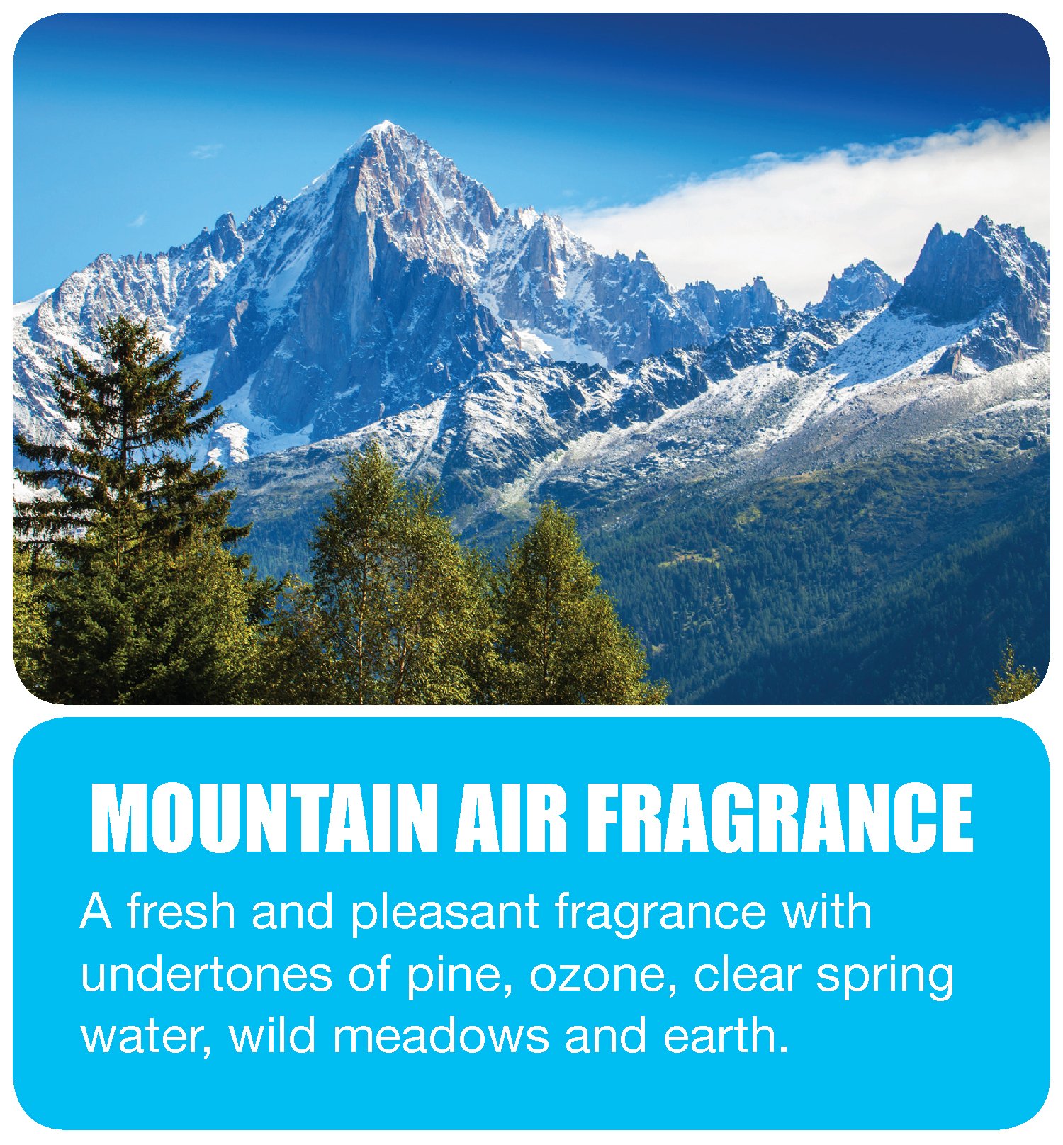 Big D 344 Odor Control Fogger, Mountain Air Fragrance-Kills odors from fire, flood, decomposition, skunk, cigarettes, musty smells-Ideal for use in cars, property management, hotels ,5 oz (Pack of 12)