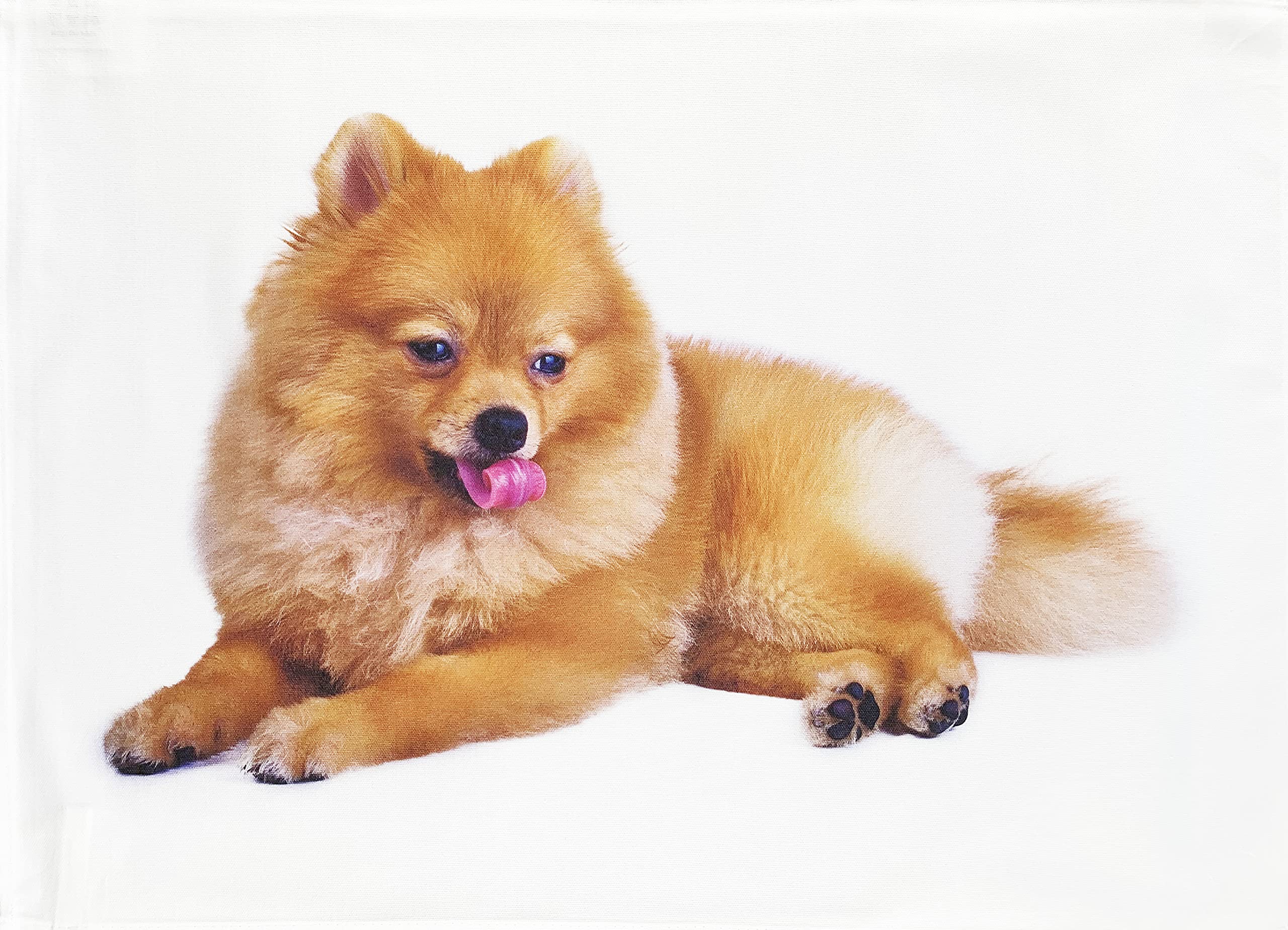 Half a Donkey The Pomeranian Dog - Large Cotton Tea Towel