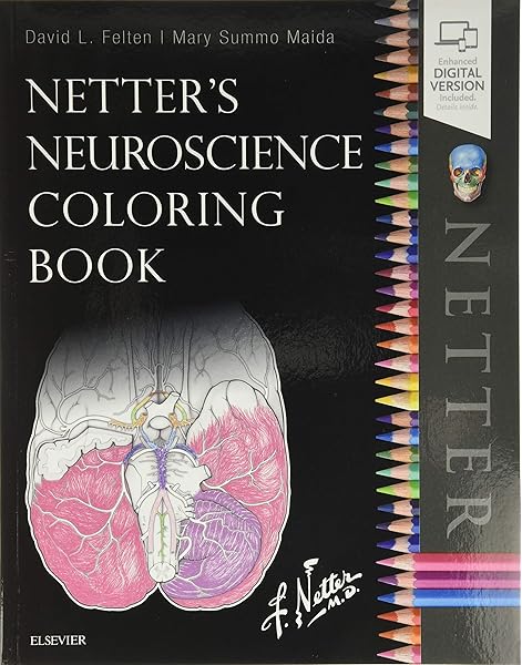 Download Netter S Neuroscience Coloring Book 9780323509596 Medicine Health Science Books Amazon Com