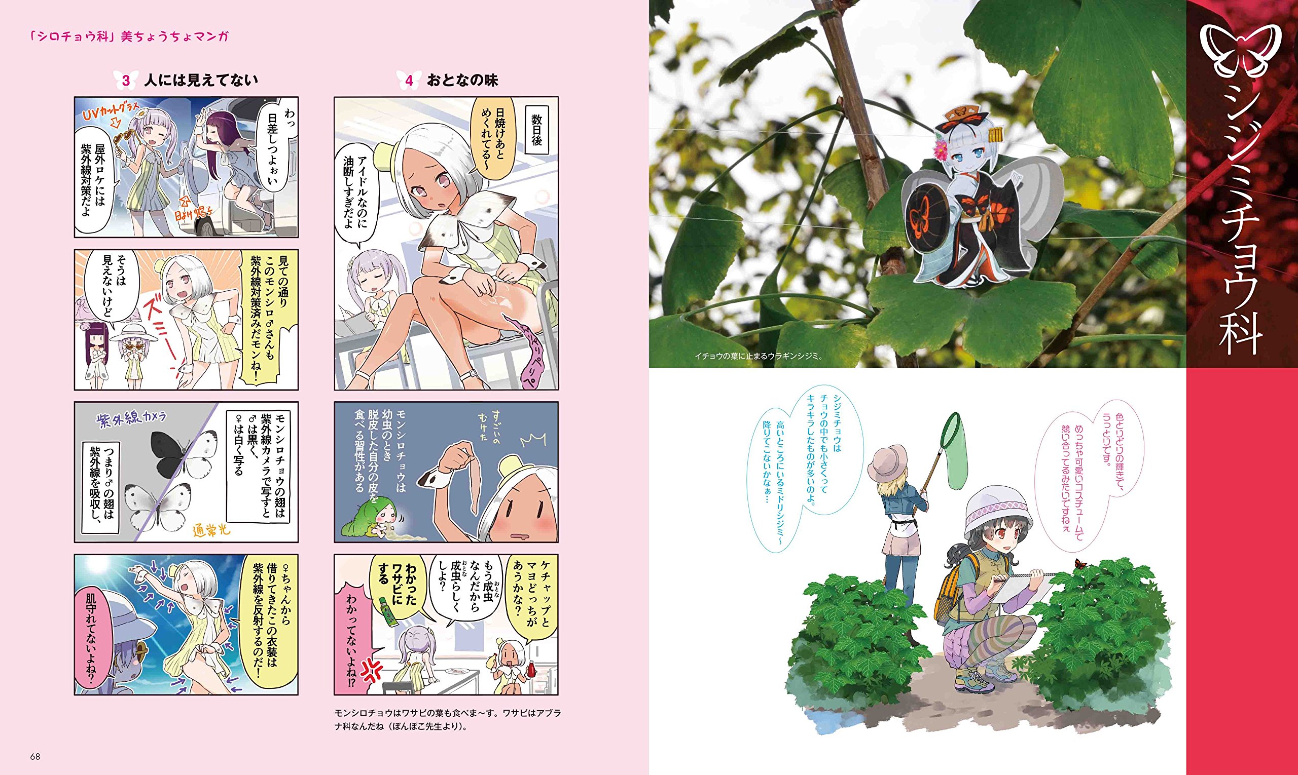 美ちょうちょ図鑑 もしも 四季折々に舞うチョウが美少女だったなら うりも 山本勝之 角丸つぶら 本 通販 Amazon