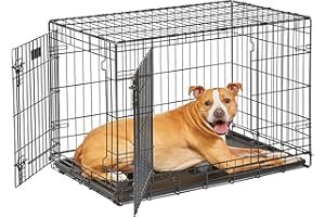 MidWest Homes for Pets Intermediate LifeStages Double Door 36-Inch Folding Dog Crate, Enhanced Security, Includes Leak-Proof Pan, Divider Panel, Handle, Rubber Feet