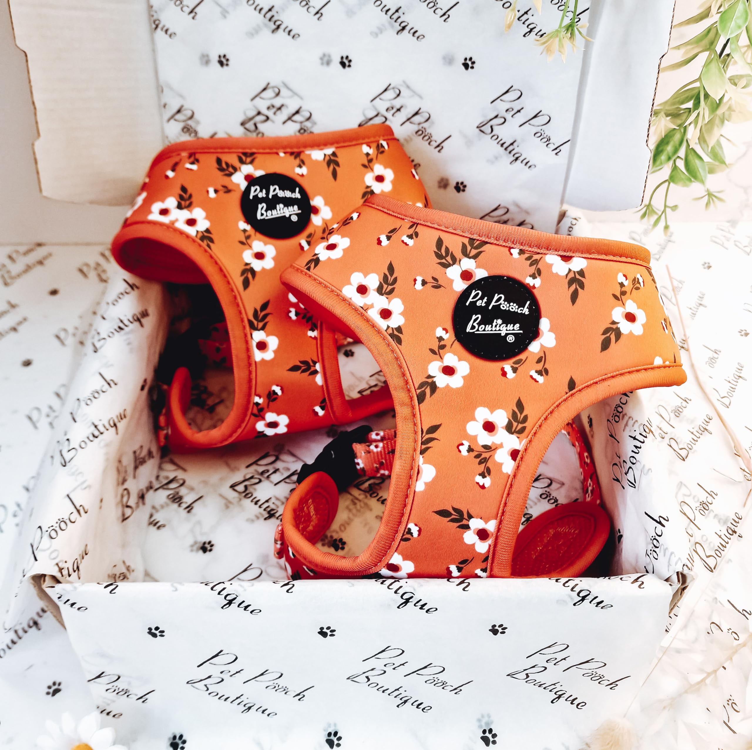 Peach & Ivy Blossom Dog Harness S