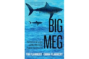 Big Meg: The Story of the Largest and Most Mysterious Predator that Ever Lived