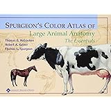 Color Atlas Of Small Animal Anatomy The Essentials Amazon Com Br
