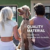 Black Rhino The Comfort Collar Ultra Soft Neoprene Padded Dog Collar XL Burgundy view 4