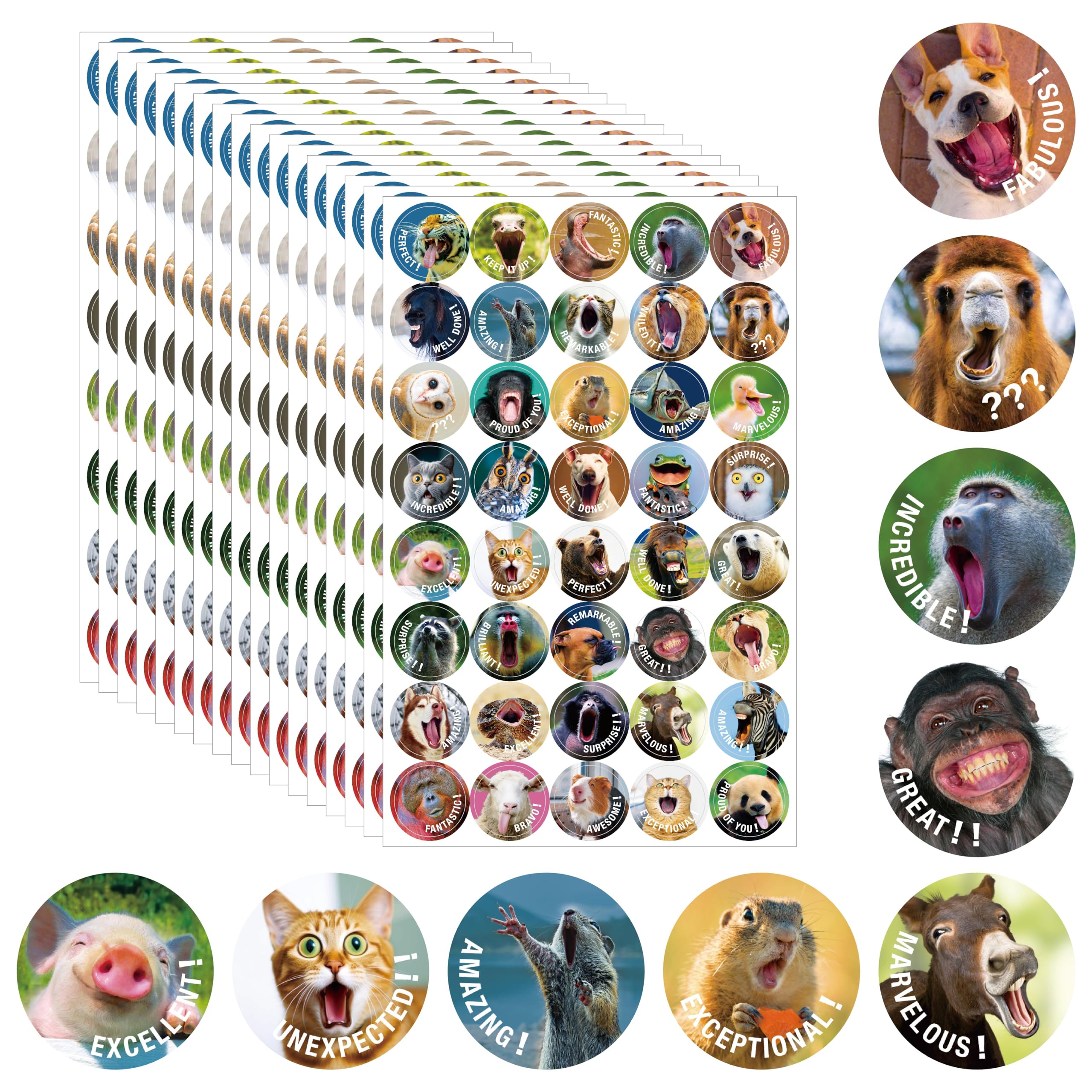 680 PCS Funny Incentive Stickers - 40 Vibrant Designs Motivational Positive Animals Reward for Teacher Classroom - Encourage Kids to Do Chores, Go to The Toilet (17 Sheets)