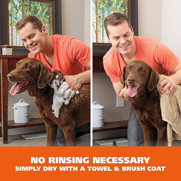 WAHL USA PET FRIENDLY WATERLESS NO RINSE SHAMPOO FOR ANIMALS – LAVENDER & CHAMOMILE FOR CLEANING, CONDITIONING, DETANGLING, & MOISTURIZING DOGS & CATS – 7.1 OZ – MODEL 820014A