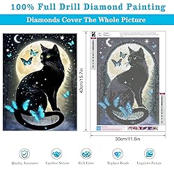 5D Black Cat Diamond Art Kits for Adult Beginners