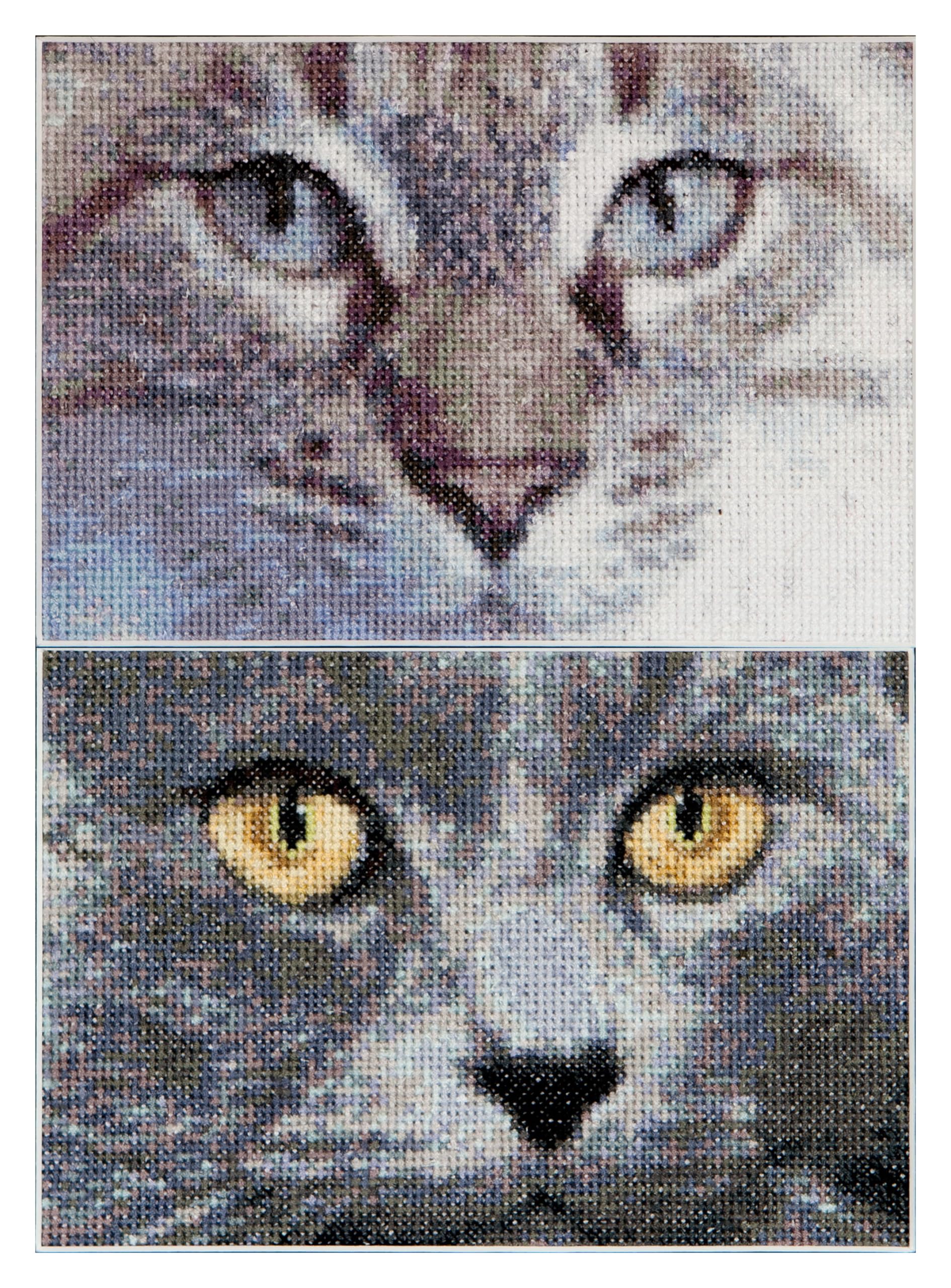 Thea Gouverneur Cats Jack + Luna On Aida Cross Stitch Kit-6.75 x 4.75-inch 16 Count (Set of 2)