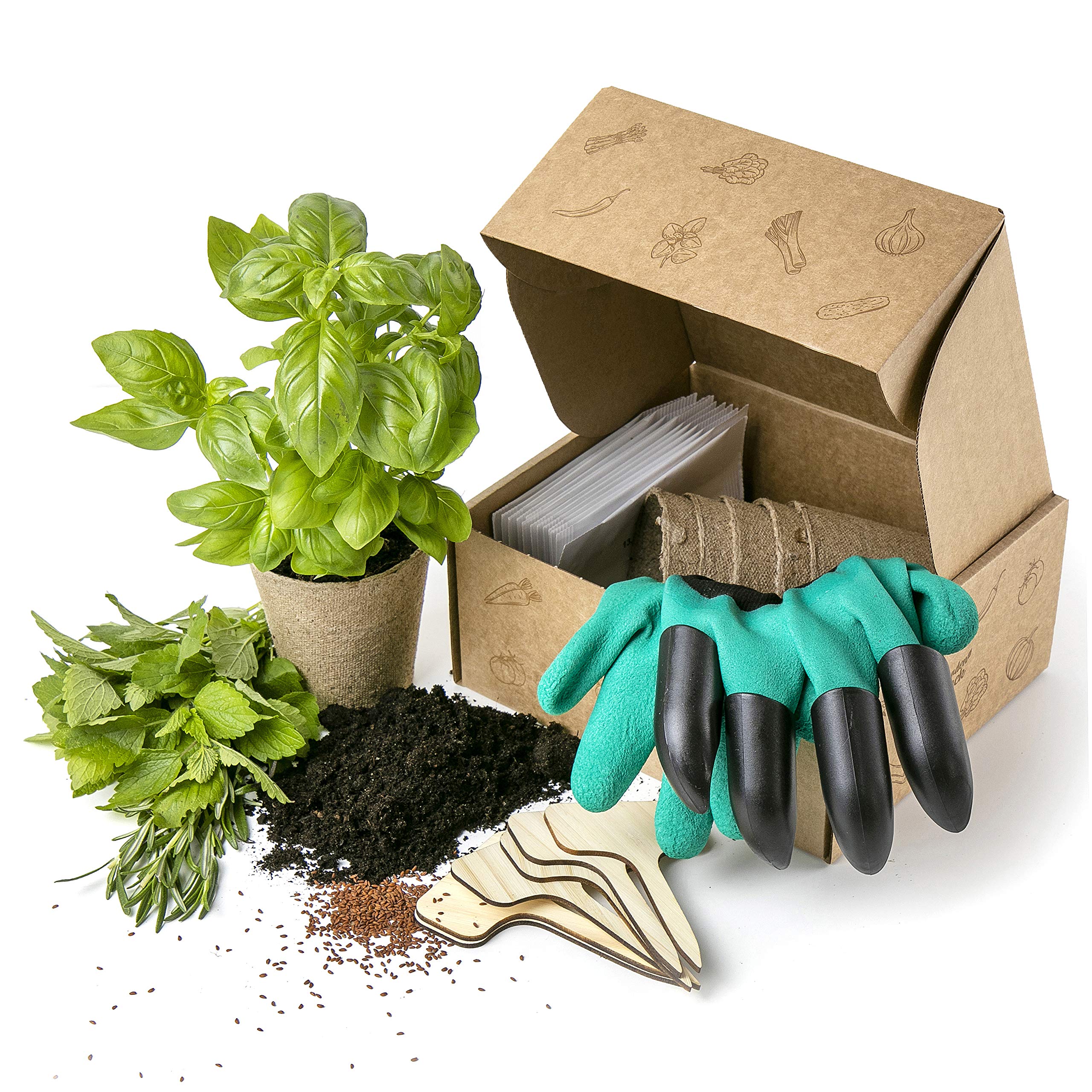 Herb Seed Growing Kit Complete Seed Box and Grow Set 12 Seeds