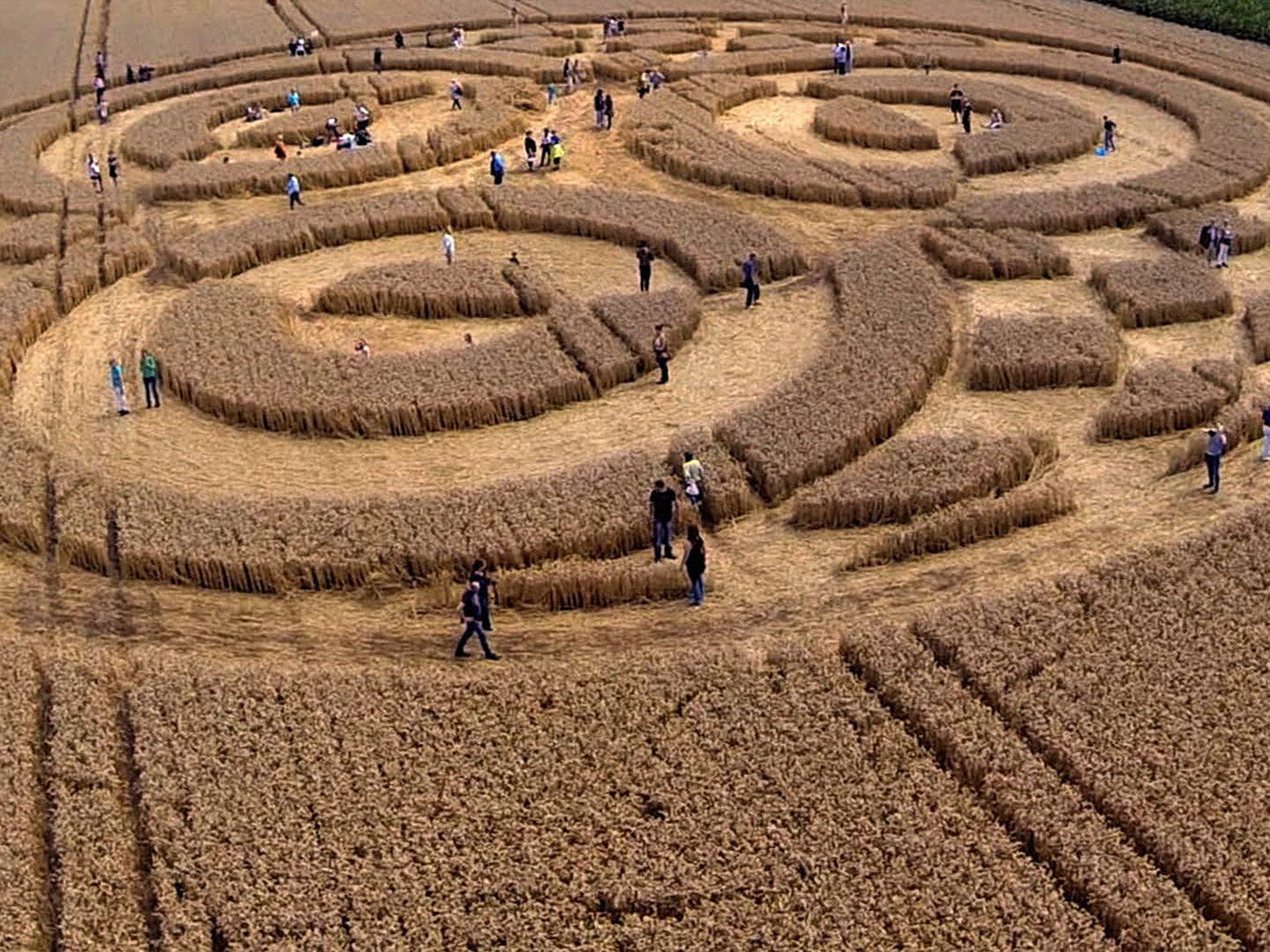 Amazon Co Jp 古代の宇宙人を観る Prime Video