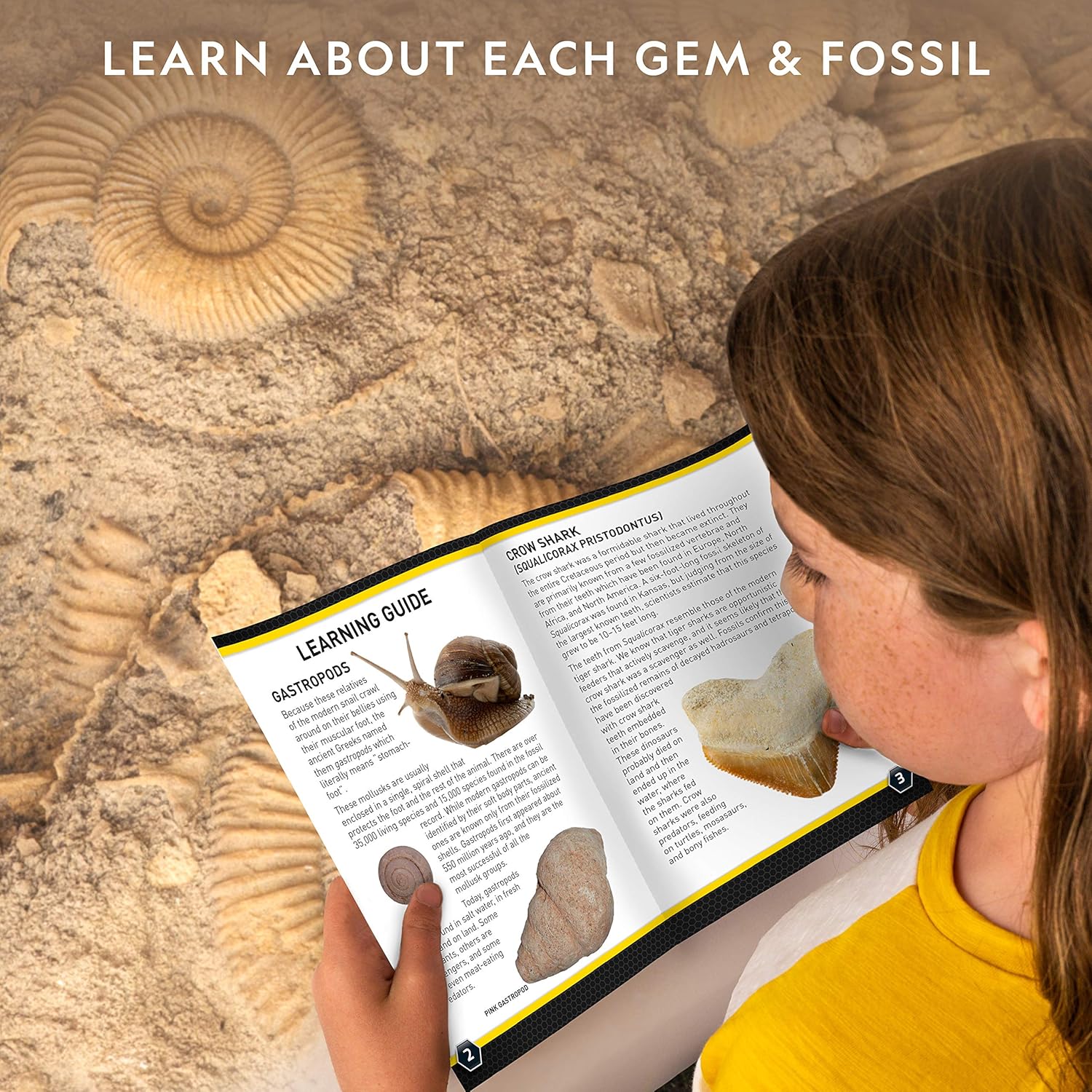 NATIONAL GEOGRAPHIC Mega Fossil and Gemstone Dig Kits - Excavate 20 Real Fossils and Gems, Great STEM Science Gift for Mineralogy and Geology Enthusiasts of Any Age: Toys & Games