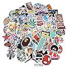 Stickers [100 pcs], Breezypals Laptop Stickers Car Motorcycle Bicycle Luggage Decal Graffiti Patches Skateboard Stickers for Laptop - No-Duplicate Sticker Pack