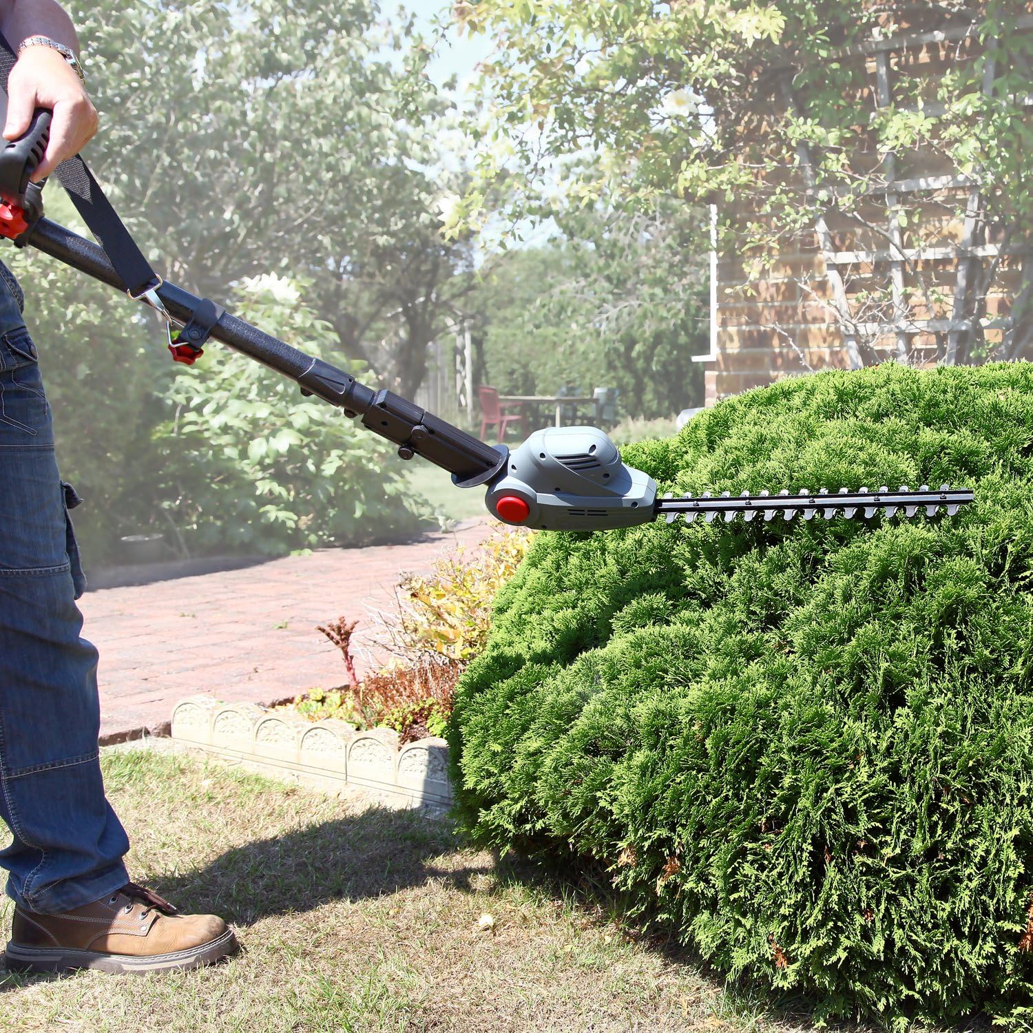 Eckman 3 m Elite 2in1 Telescopic Chainsaw and Hedge Trimmer Amazon