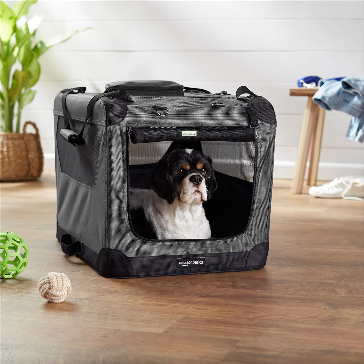 amazonbasics soft dog crate