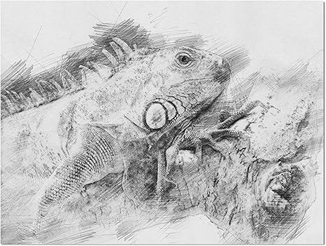 Amazon Com Design Art Designart Black And White Iguana Sketch