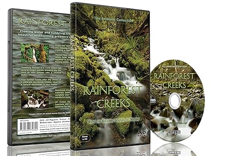 Natur DVD – Regenwald Flüsse-Regenwald Szenen mit natürlichen Geräuschen