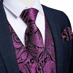 DiBanGu Mens Vest and Tie Set Formal Paisley