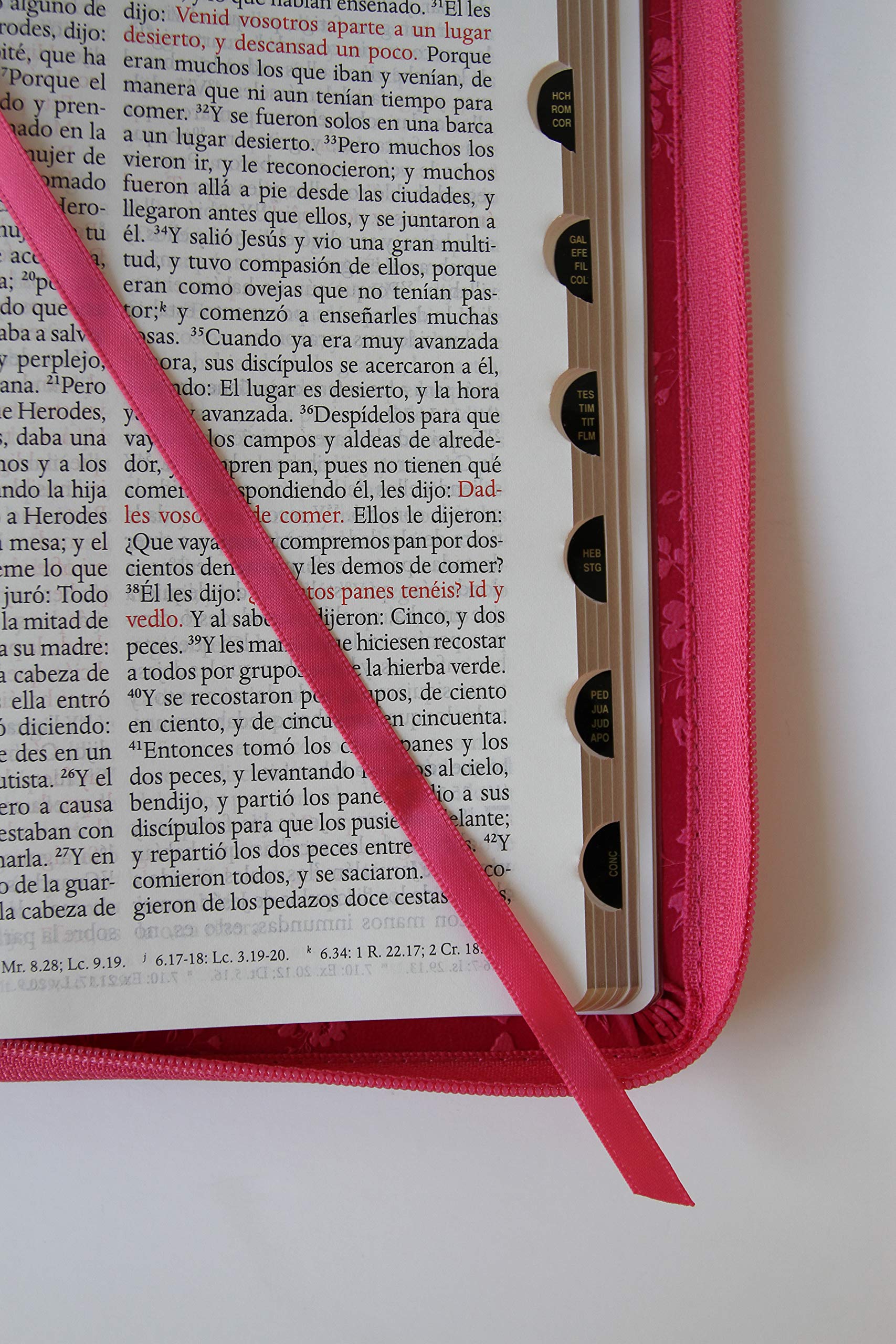 Biblia Reina Valera 1960 letra grande. Símil piel fucsia, cremallera, índice, manual / Spanish Bible RVR 1960. Handy Size, Large Print, Leathersoft (Spanish Edition)