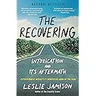 The Recovering: Intoxication and Its Aftermath