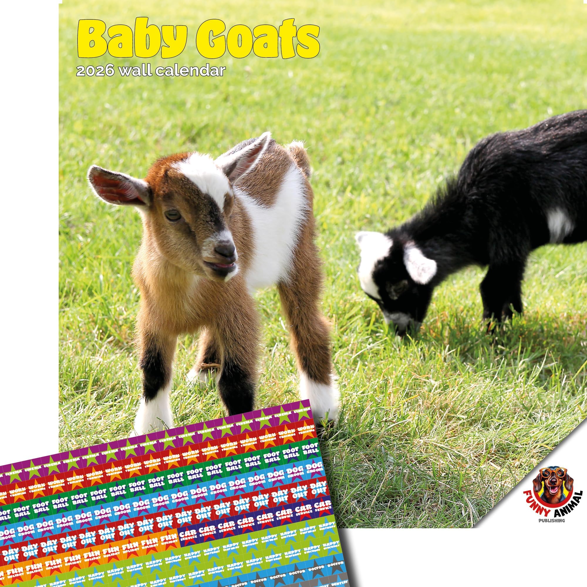 Dayplanner Publishing Baby Goats Calendar 2026, Large Square Wall Calendar With Organisational Stickers, 16 Month, Baby Goats Gift Animal Calendar