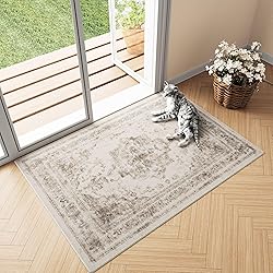 PureCozy Vintage Area Rug 2x3 Indoor Entryway Rug