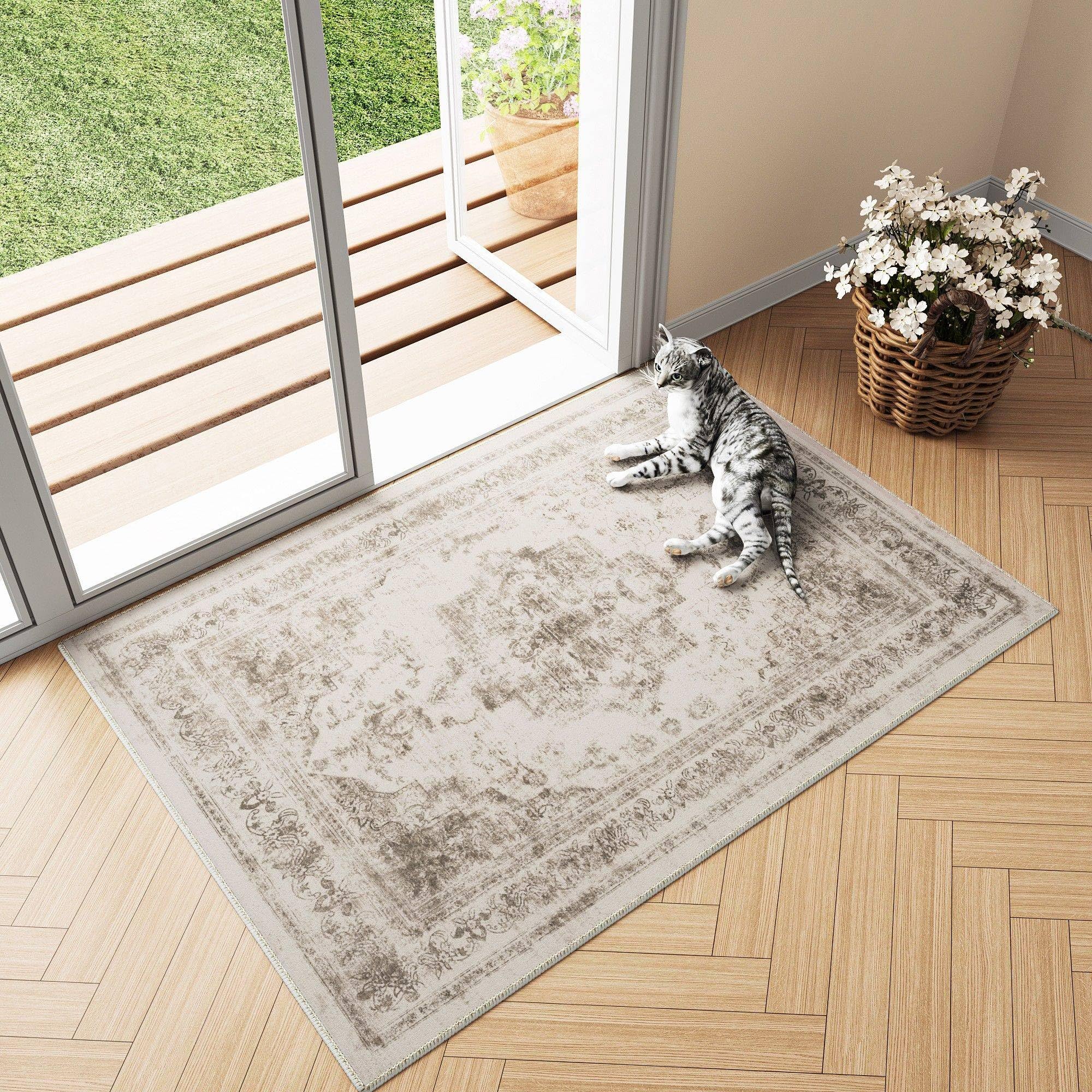 PureCozy Vintage Area Rug 2x3 Indoor Entryway Rug