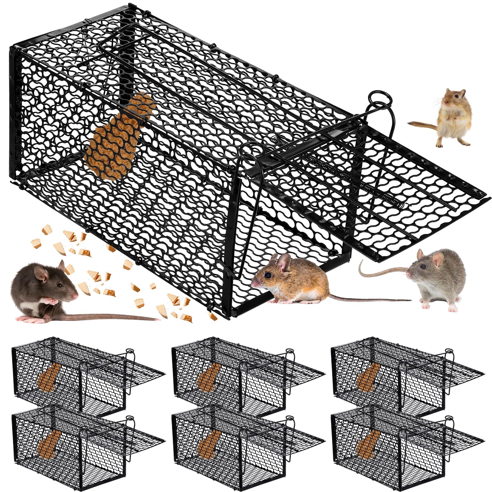 Photo 1 of Qualirey 6 Pcs Humane Rat Trap Small Chipmunk Mouse Squirrel Cage Rodent Animal Mice Voles Hamsters Cage Catch and Release Trap for Home Garden Indoor Outdoor(15.4 x 5.5 x 5.5 Inch)