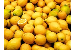 MELISSA'S Meyer Lemons (Meyer Lemons 1 Dozen (12 Pc's))