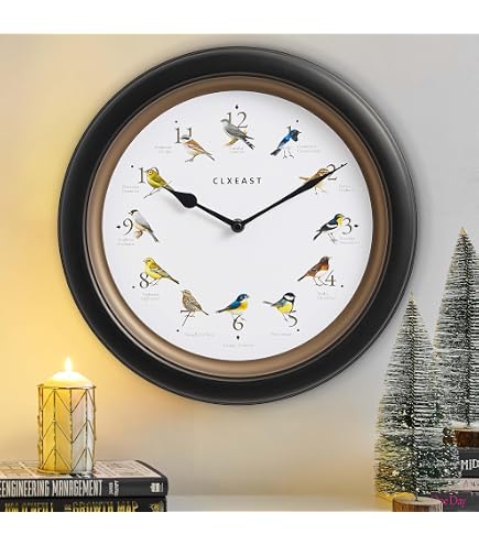 Amazon.com: Generic Bird Wall Clock - Decorative Wall Hanging