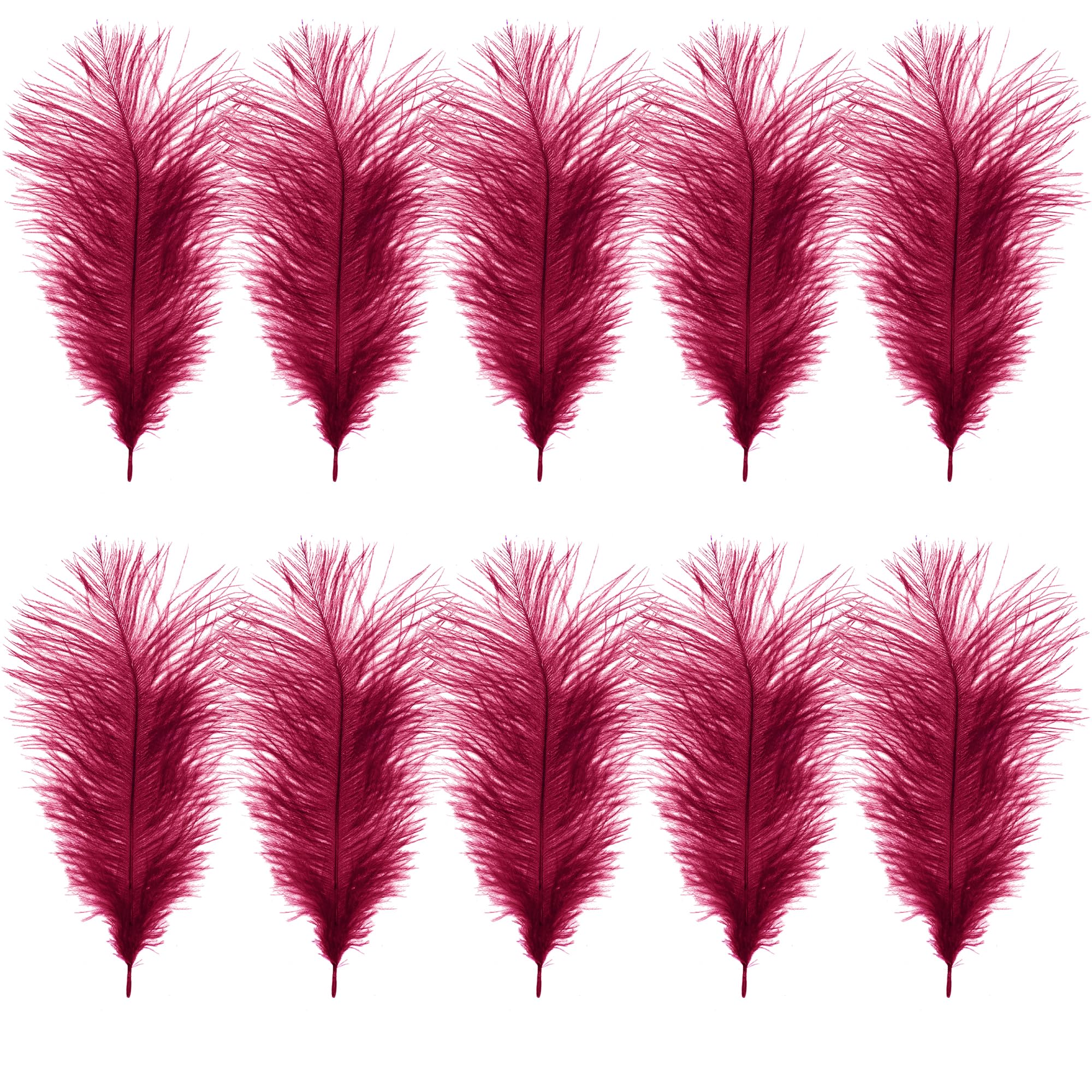 WedDecor Burgundy Natural Ostrich Feathers 14-16" (35-40cm) Long for Wedding Centerpieces, Home, Decorating Costumes, Embellishment, Art & Craft, Parties (Pack of 10)