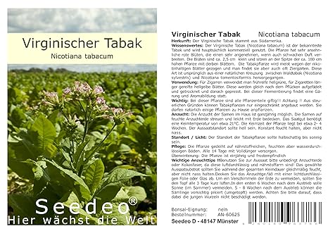 Seedeo Virginischer Tabak (Nicotiana tabacum) 300 Samen