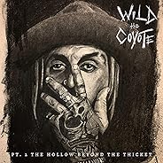 Pt 2 The Hollow Beyond the Thicket