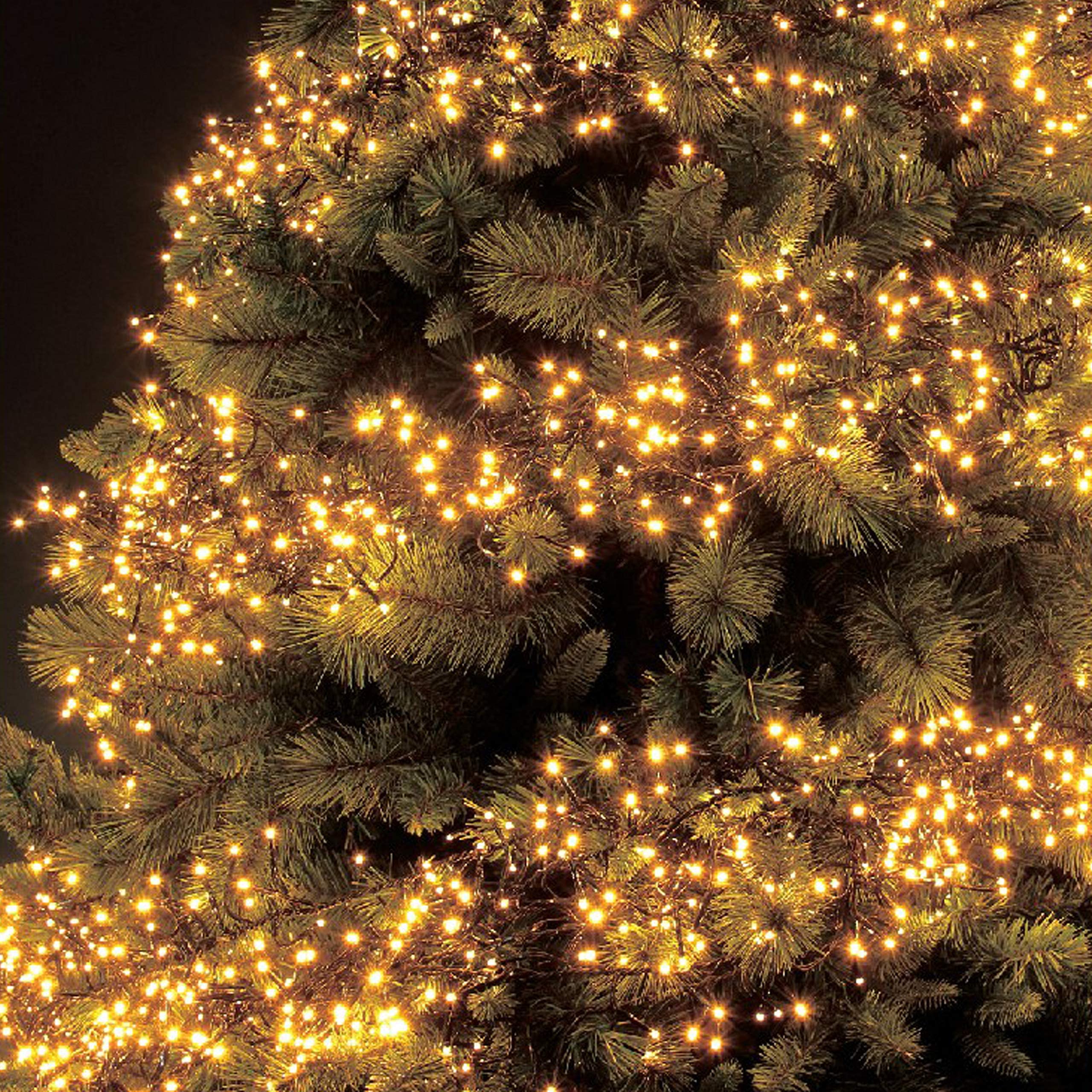 The Christmas Workshop Premium LED Warm White Chaser Christmas Lights | Indoor/Outdoor Fairy Lights | 2 Separate Functions | 8 Light Modes | Christmas/Weddings/Gardens (100)