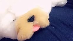 wrinkles my kissing puppy