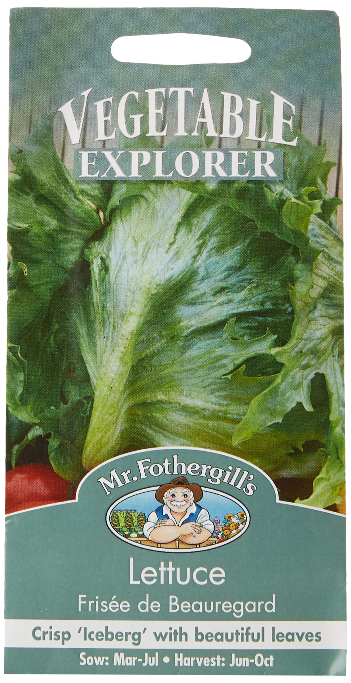 Mr Fothergill's 22155 Vegetable Seeds, Lettuce Frisee de Beauregard